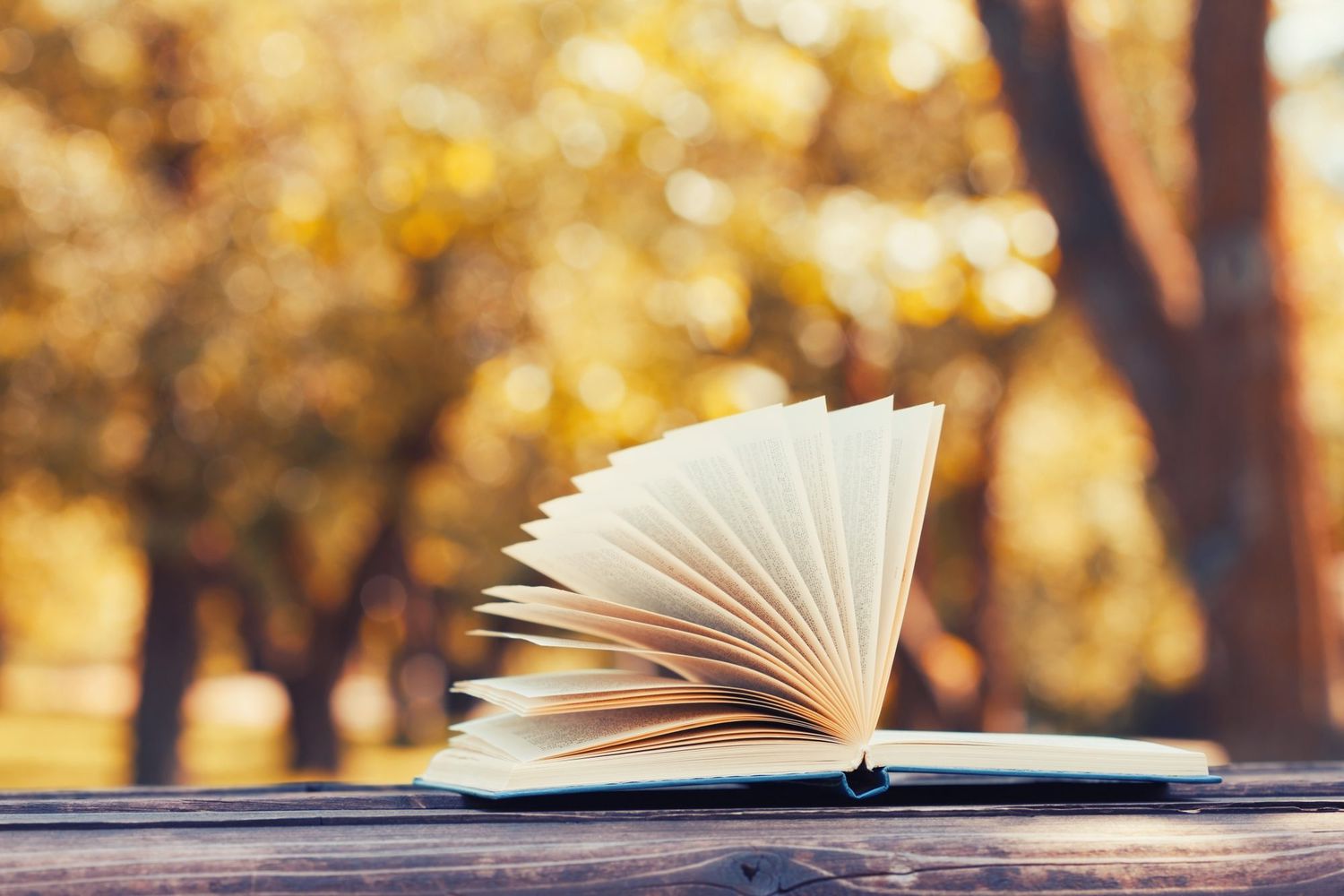 Cox’s Introduction to Policing (5th Edition) – Key Concepts and Practices